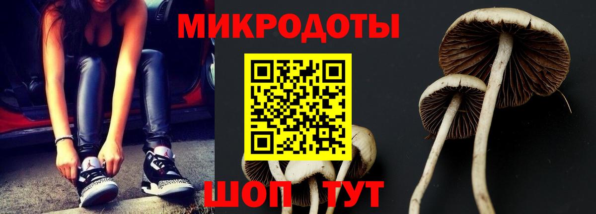 Галлюциногенные грибы прущие грибы  Вход с VPN  Амурск  Псилоцибиновые грибы прущие грибы 